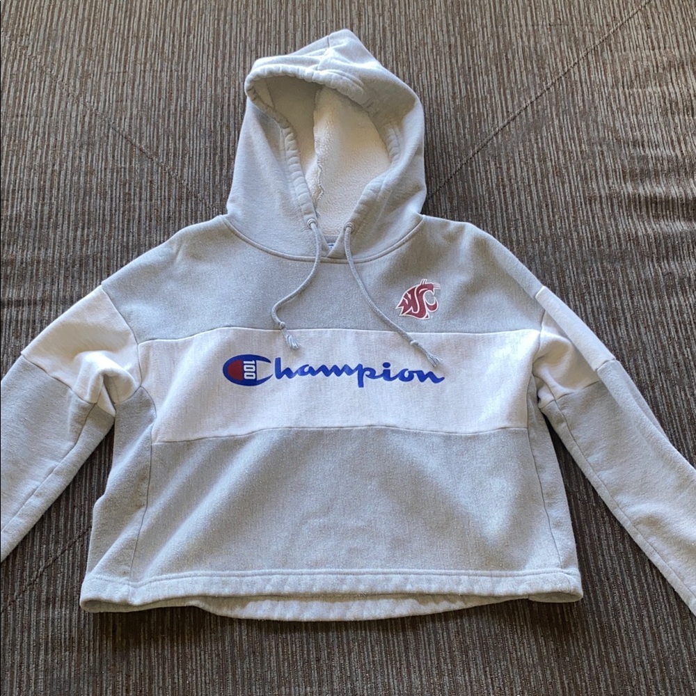 Champion Gray and White Pullover Hoodie